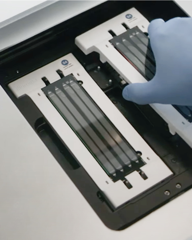 NovaSeq 6000Dx flow cells